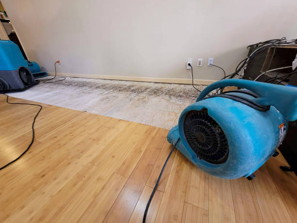 Professional Basement Flood Cleanup technician working in Clyde, OH